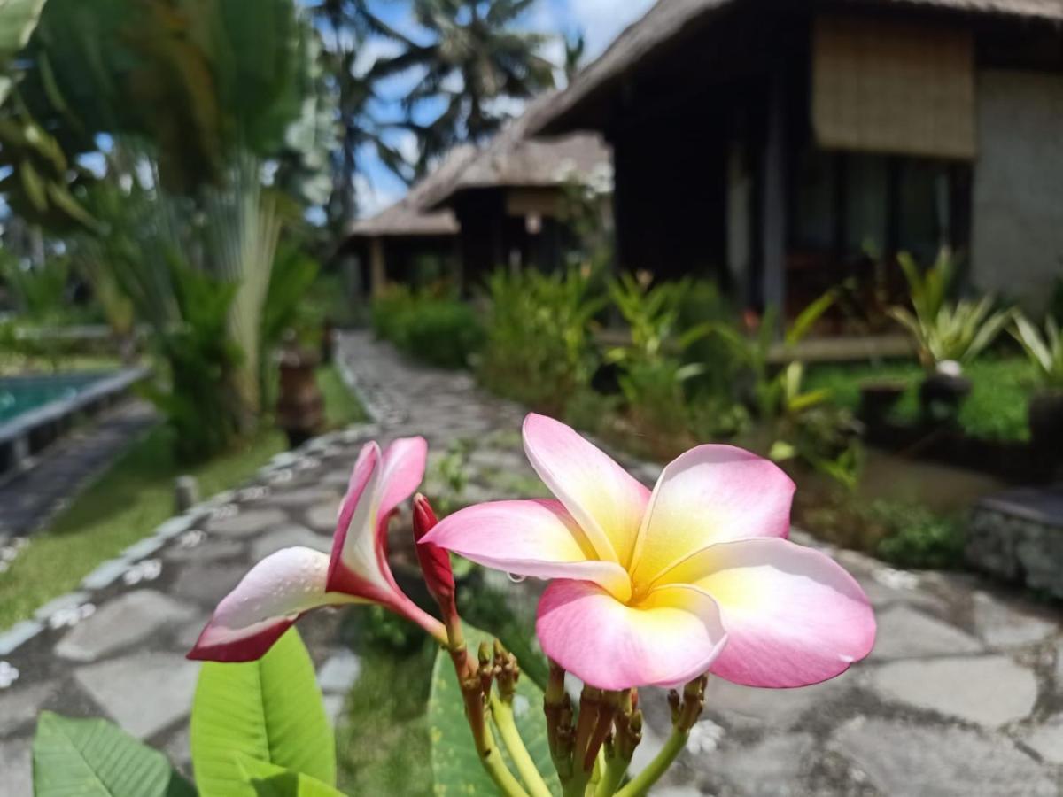 Taman Bintang Villa Ubud Екстериор снимка